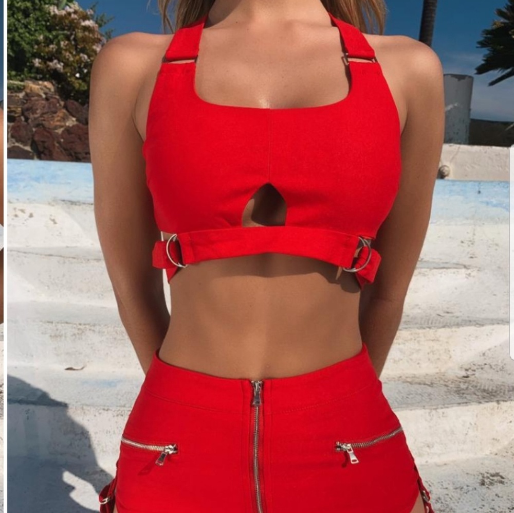 Tiger Mist Reed Crop